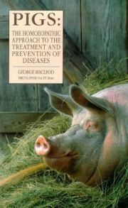 Pigs Homoeopathic Approach To The Treatment & Prevention