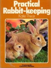 Practical Rabbit-Keeping